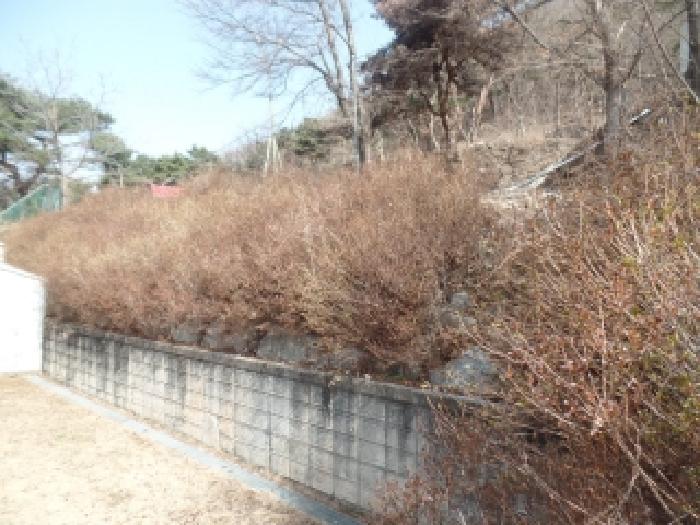충남 논산시 연산면 임야 경매 물건 사진 2 · 2025타경20582