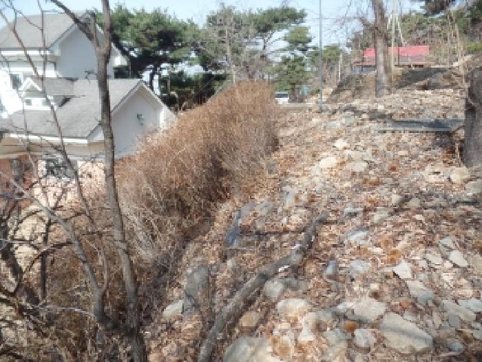 충남 논산시 연산면 임야 경매 물건 사진 3 · 2025타경20582