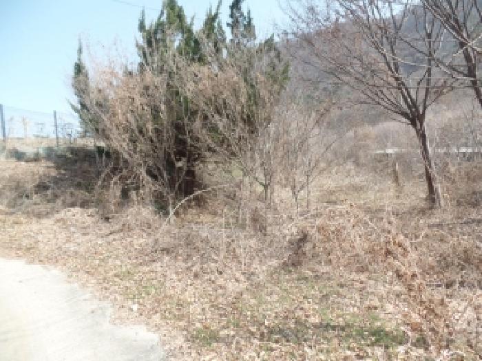 충남 논산시 연산면 임야 경매 물건 사진 5 · 2025타경20582
