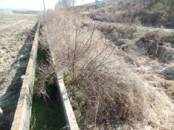 충남 논산시 채운면 단독주택 경매 물건 사진