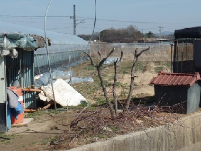 충남 논산시 채운면 단독주택 경매 물건 사진 2 · 2025타경20604