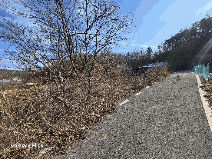 충청남도 부여군 임천면 발산리 167-3 대지 경매 물건 사진