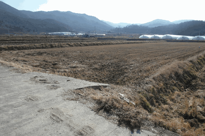 충남 논산시 연무읍 전답 경매 물건 사진 3 · 2025타경20609