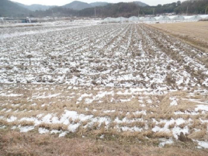 충남 논산시 연무읍 전답 경매 물건 사진