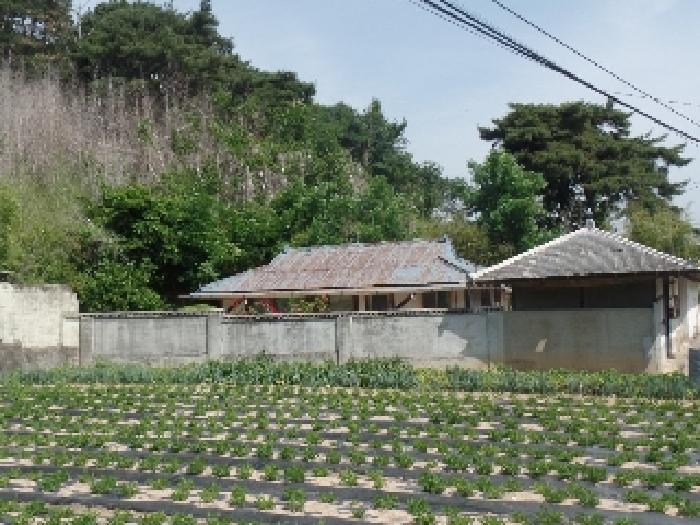 충남 논산시 부적면 전 경매 물건 사진 3 · 2025타경309