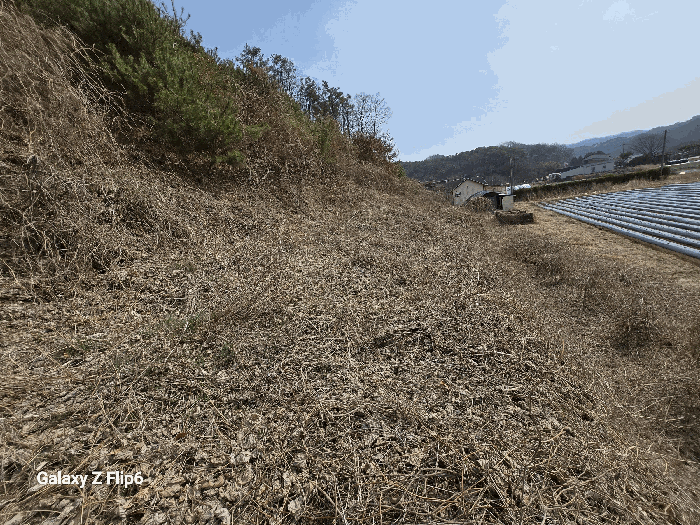 충청남도 논산시 벌곡면 도산리 268 대지,임야,전답 경매 물건 사진