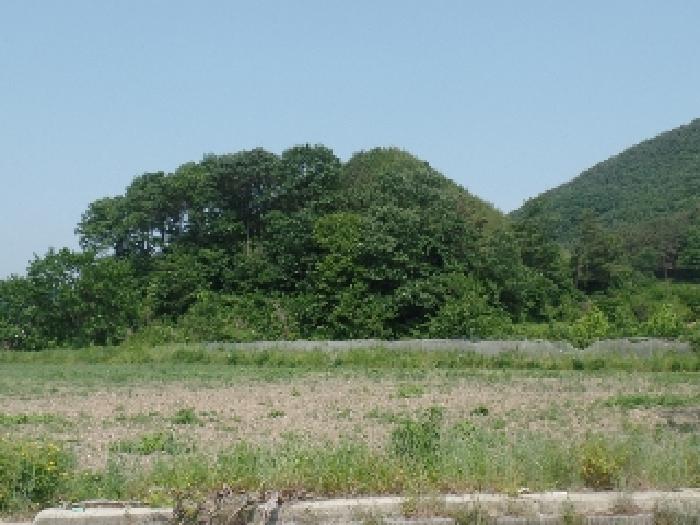 충남 논산시 벌곡면 대지,임야,전답 경매 물건 사진