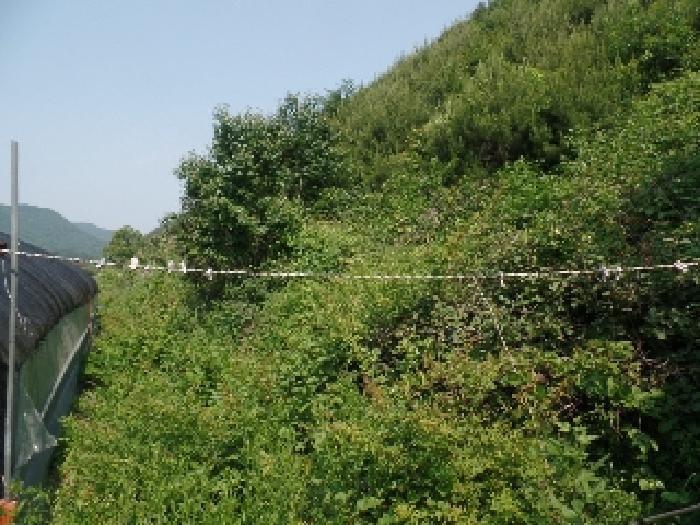 충남 논산시 벌곡면 대지,임야,전답 경매 물건 사진 2 · 2025타경384