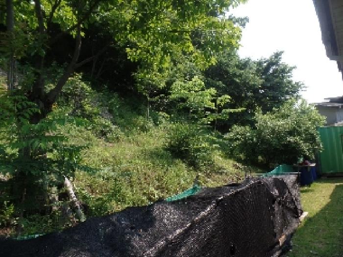 충남 논산시 벌곡면 대지,임야,전답 경매 물건 사진 3 · 2025타경384
