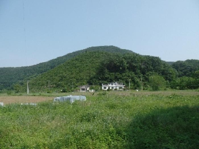 충남 논산시 벌곡면 대지,임야,전답 경매 물건 사진 4 · 2025타경384