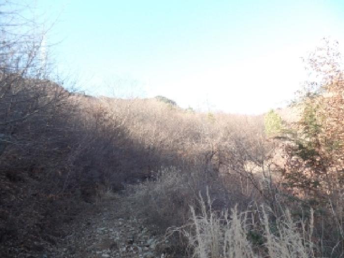충남 논산시 벌곡면 임야 경매 물건 사진