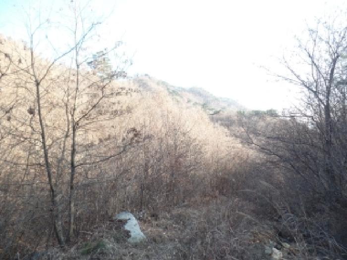 충남 논산시 벌곡면 임야 경매 물건 사진 2 · 2025타경396