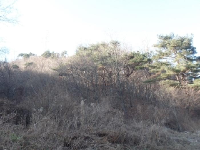 충남 논산시 벌곡면 임야 경매 물건 사진 3 · 2025타경396