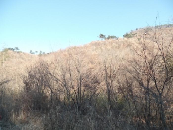 충남 논산시 벌곡면 임야 경매 물건 사진 4 · 2025타경396