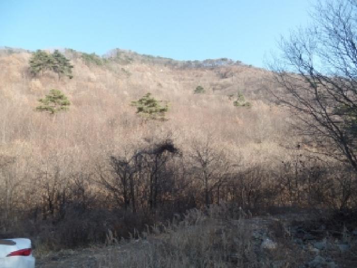 충남 논산시 벌곡면 임야 경매 물건 사진 5 · 2025타경396