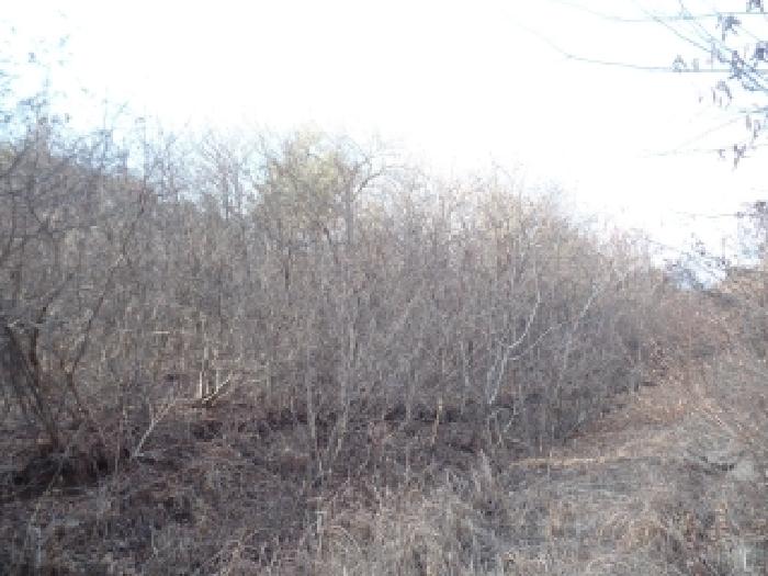 충남 논산시 벌곡면 임야 경매 물건 사진 6 · 2025타경396