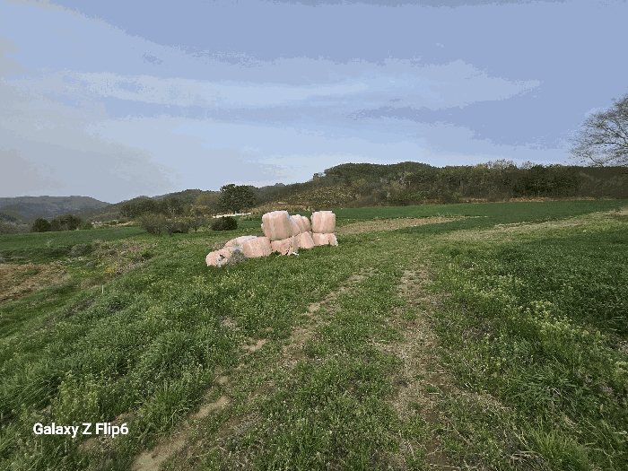충청남도 논산시 양촌면 인천리 10 전 경매 물건 사진