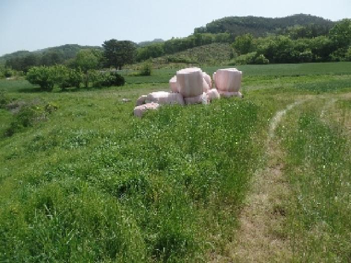 충남 논산시 양촌면 전 경매 물건 사진 5 · 2025타경401