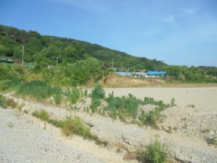 충남 부여군 임천면 공장용지 경매 물건 사진 3 · 2025타경423