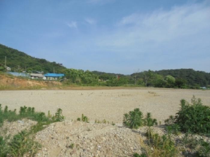 충남 부여군 임천면 공장용지 경매 물건 사진 5 · 2025타경423