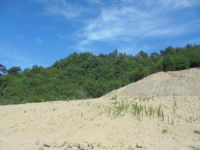 충남 부여군 규암면 도로 경매 물건 사진 2 · 2025타경430