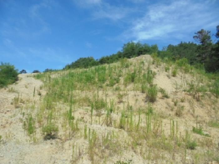 충남 부여군 규암면 도로 경매 물건 사진 4 · 2025타경430