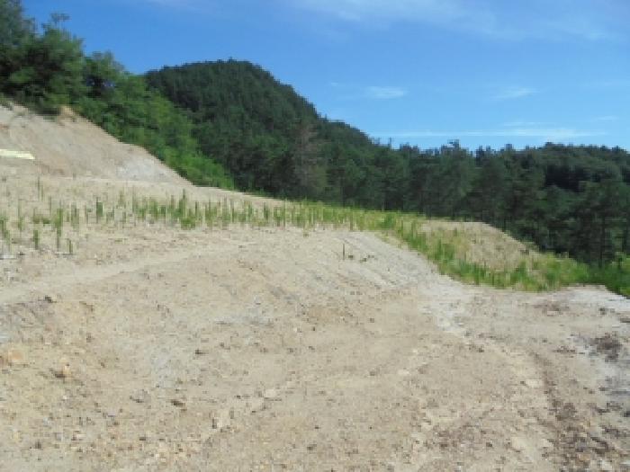 충남 부여군 규암면 도로 경매 물건 사진 5 · 2025타경430