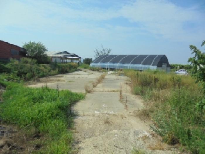 충남 부여군 규암면 동물및식물관련시설 경매 물건 사진