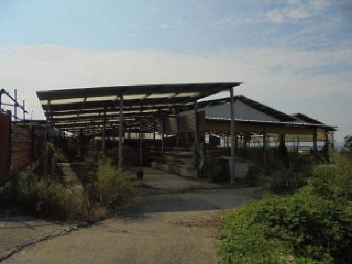 충남 부여군 규암면 동물및식물관련시설 경매 물건 사진 2 · 2025타경450