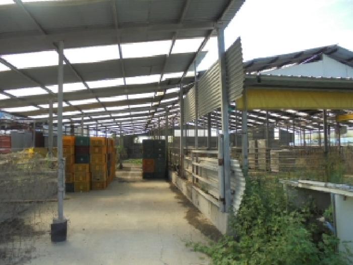 충남 부여군 규암면 동물및식물관련시설 경매 물건 사진 3 · 2025타경450