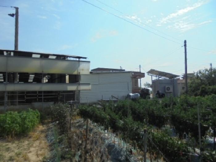 충남 부여군 규암면 동물및식물관련시설 경매 물건 사진 5 · 2025타경450