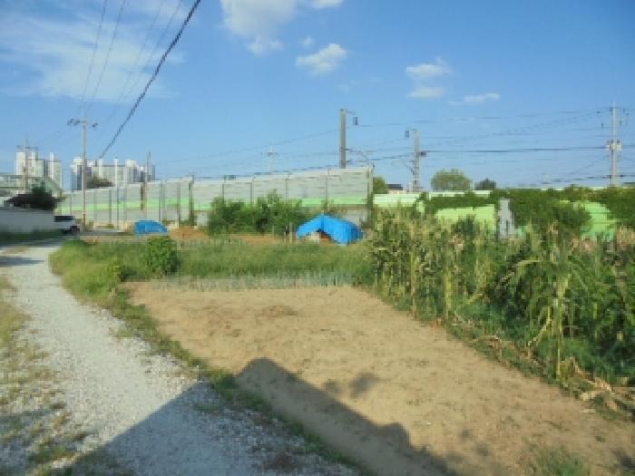 충남 논산시 부창동 전 경매 물건 사진