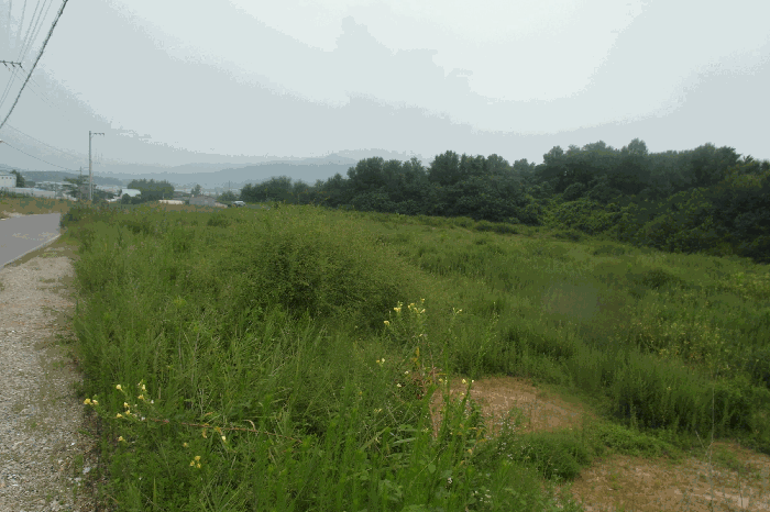 충청남도 논산시 연산면 한전리 산15-8 임야 경매 물건 사진