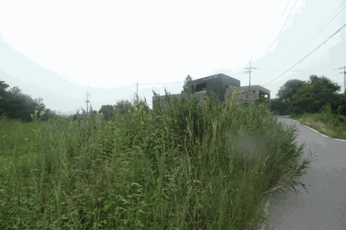 충남 논산시 연산면 임야 경매 물건 사진 5 · 2025타경460