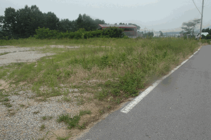충남 논산시 연산면 임야 경매 물건 사진 6 · 2025타경460
