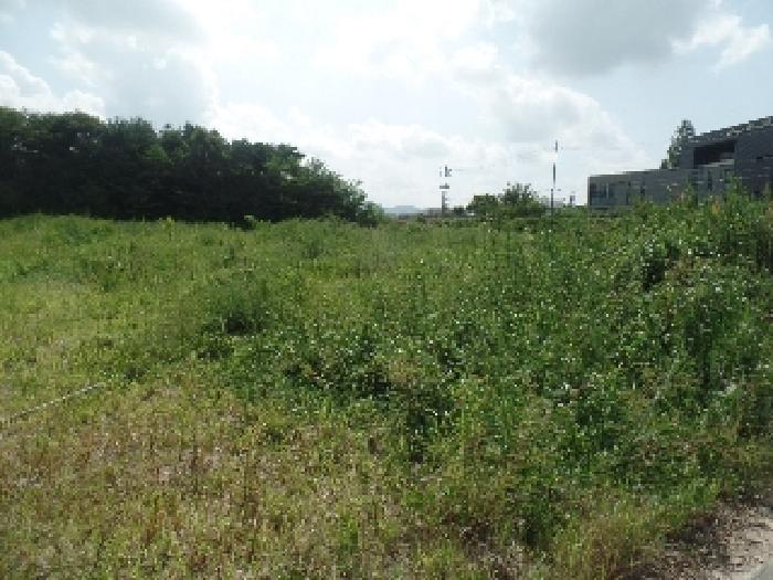 충남 논산시 연산면 임야 경매 물건 사진 2 · 2025타경460