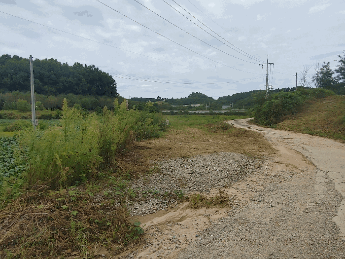 충남 논산시 광석면 전답 경매 물건 사진 5 · 2025타경464