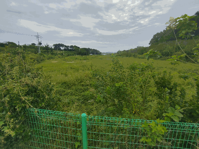충남 논산시 광석면 전답 경매 물건 사진 6 · 2025타경464
