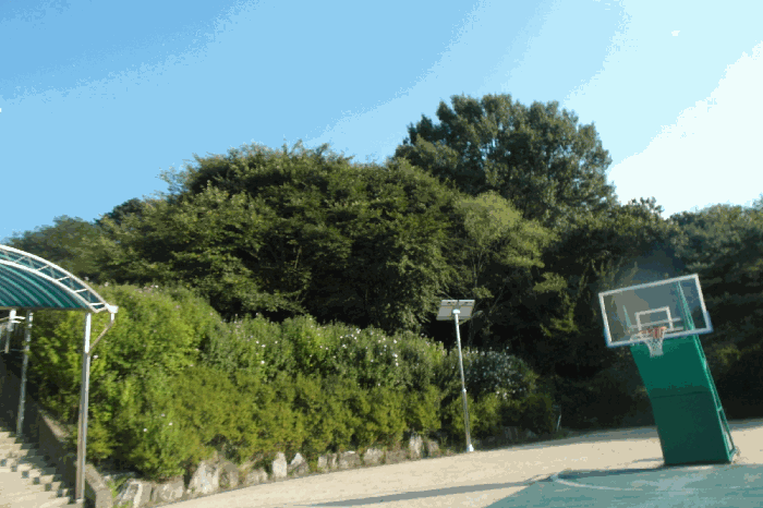 충청남도 계룡시 엄사면 엄사리 232-177 임야 경매 물건 사진