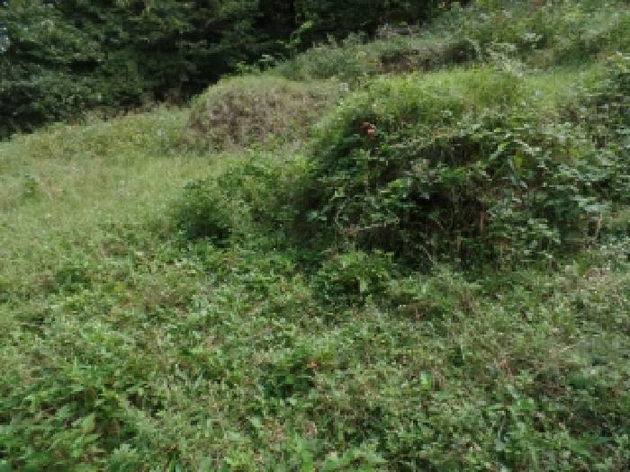 충남 계룡시 엄사면 임야 경매 물건 사진 2 · 2025타경468