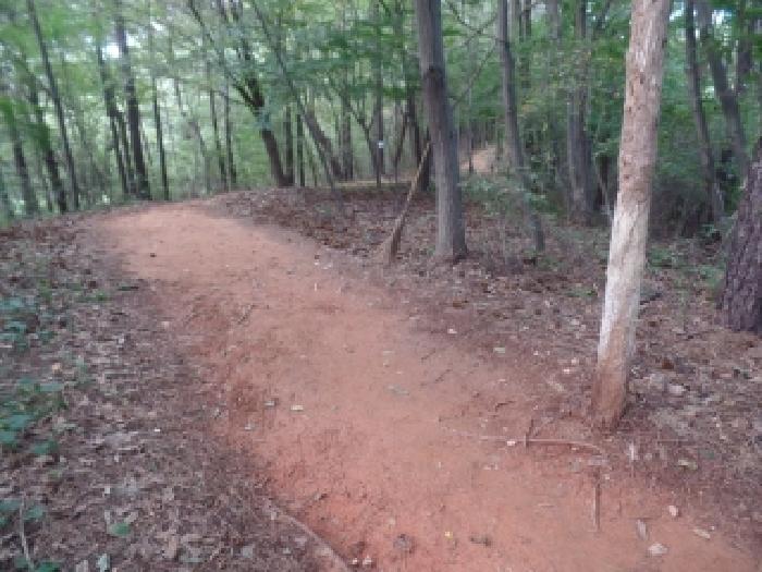 충남 계룡시 엄사면 임야 경매 물건 사진 3 · 2025타경468