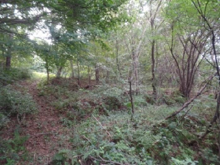 충남 계룡시 엄사면 임야 경매 물건 사진 4 · 2025타경468