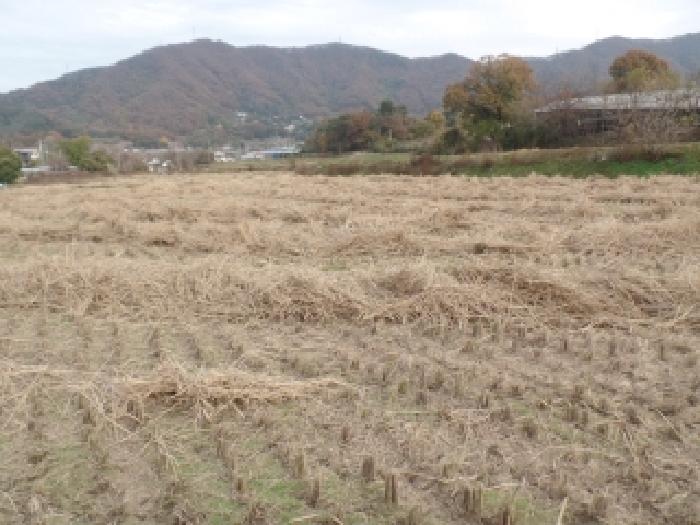 충남 논산시 연산면 답 경매 물건 사진