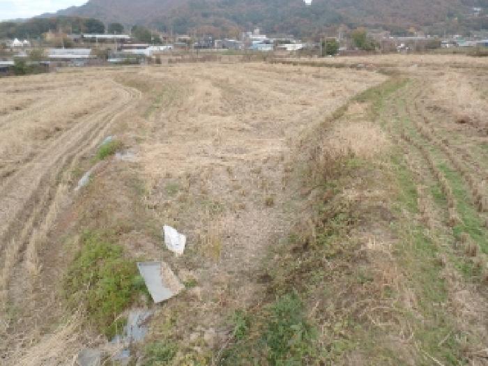 충남 논산시 연산면 답 경매 물건 사진 3 · 2025타경471
