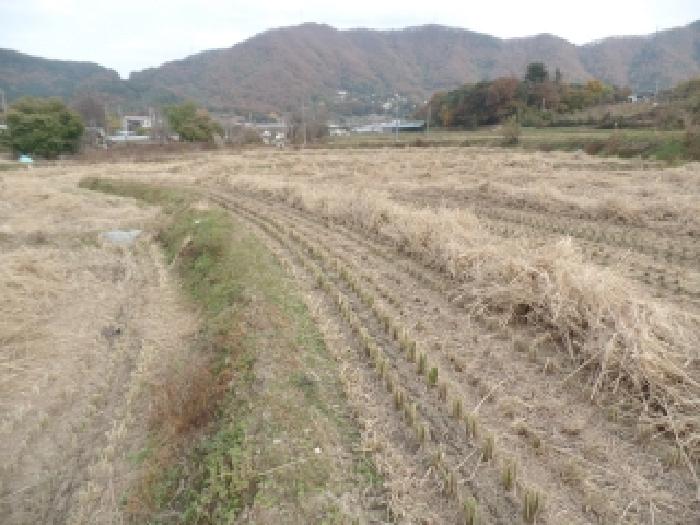 충남 논산시 연산면 답 경매 물건 사진 4 · 2025타경471