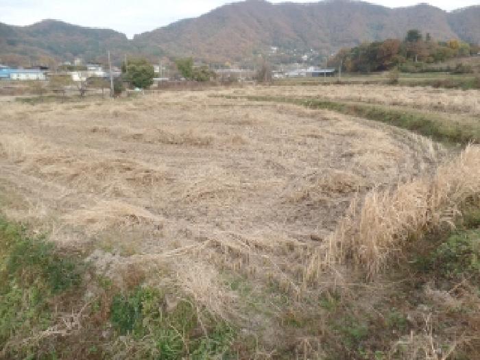 충남 논산시 연산면 답 경매 물건 사진 5 · 2025타경471