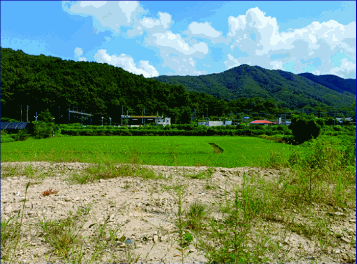 충남 논산시 연산면 답 경매 물건 사진 4 · 2025타경473