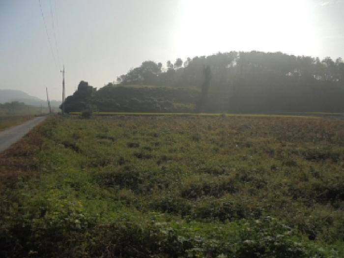 충남 부여군 규암면 답 경매 물건 사진 2 · 2025타경480