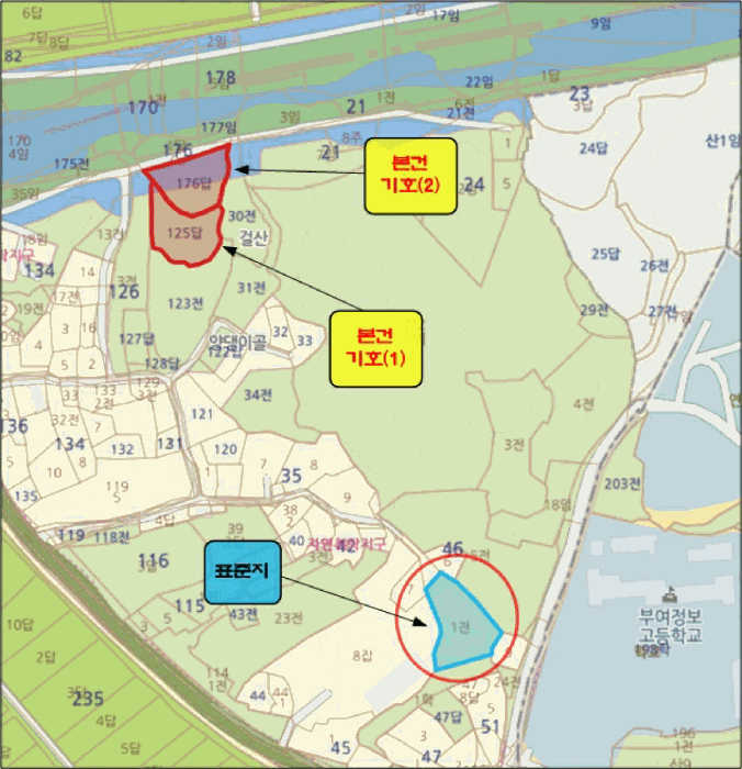 충남 부여군 규암면 답 경매 물건 사진 3 · 2025타경480
