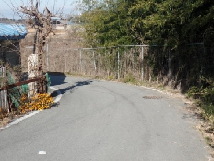 충남 논산시 연무읍 임야 경매 물건 사진 5 · 2025타경483